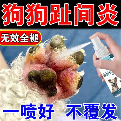 狗狗脚趾缝红肿用啥药,狗脚趾缝红肿流血水怎么办?-第3张图片-后鲨宠物 狗狗脚趾缝红肿用啥药,狗脚趾缝红肿流血水怎么办?-第3张图片-后鲨宠物