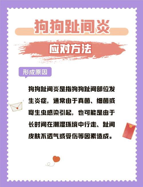 狗狗脚趾缝红肿用啥药,狗脚趾缝红肿流血水怎么办?-第4张图片-后鲨宠物 狗狗脚趾缝红肿用啥药,狗脚趾缝红肿流血水怎么办?-第4张图片-后鲨宠物
