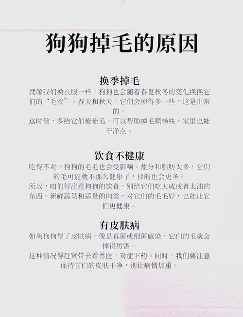 狗狗多大开始掉毛,狗狗多大开始掉毛换毛-第5张图片-后鲨宠物 狗狗多大开始掉毛,狗狗多大开始掉毛换毛-第5张图片-后鲨宠物