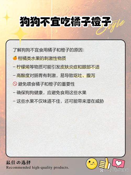 狗狗可以吃橘子嘛,狗狗是否能吃橘子?-第1张图片-后鲨宠物 狗狗可以吃橘子嘛,狗狗是否能吃橘子?-第1张图片-后鲨宠物
