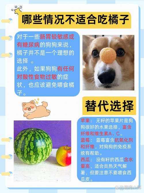 狗狗可以吃橘子嘛,狗狗是否能吃橘子?-第2张图片-后鲨宠物 狗狗可以吃橘子嘛,狗狗是否能吃橘子?-第2张图片-后鲨宠物