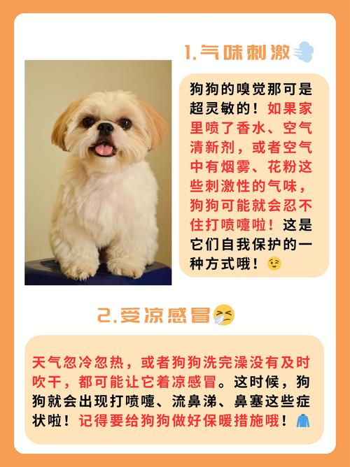 狗狗打喷嚏是什么声音,狗狗打喷嚏是什么样-第4张图片-后鲨宠物 狗狗打喷嚏是什么声音,狗狗打喷嚏是什么样-第4张图片-后鲨宠物