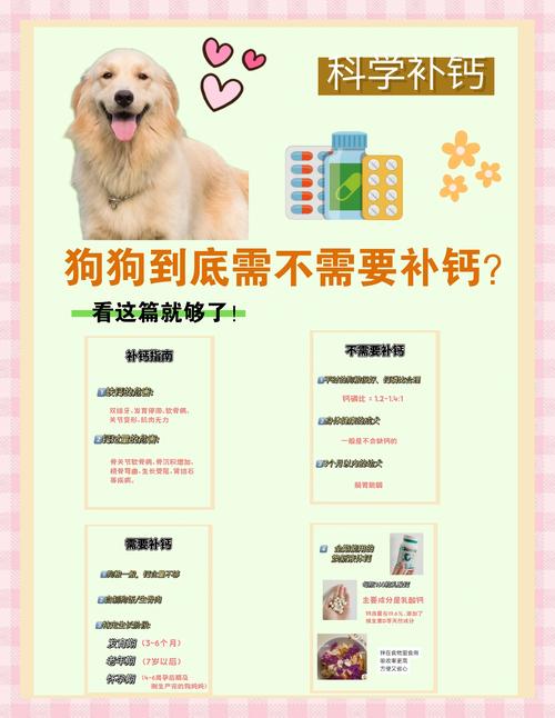 狗狗钙片什么时候吃最佳,狗狗钙片什么时候吃最佳吸收-第2张图片-后鲨宠物 狗狗钙片什么时候吃最佳,狗狗钙片什么时候吃最佳吸收-第2张图片-后鲨宠物