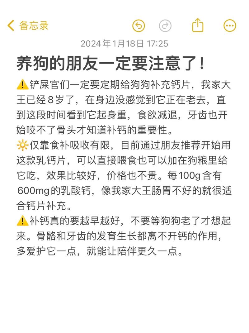 狗狗钙片什么时候吃最佳,狗狗钙片什么时候吃最佳吸收-第4张图片-后鲨宠物 狗狗钙片什么时候吃最佳,狗狗钙片什么时候吃最佳吸收-第4张图片-后鲨宠物