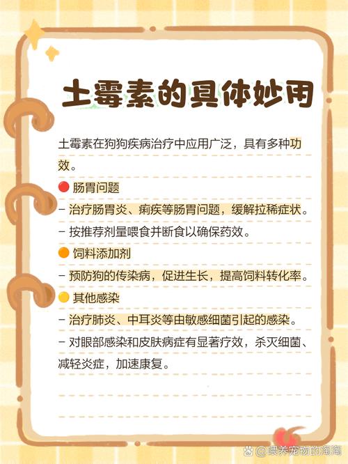 狗狗可以吃土霉素吗_土霉素治狗狗呕吐吗-第1张图片-后鲨宠物 狗狗可以吃土霉素吗_土霉素治狗狗呕吐吗-第1张图片-后鲨宠物