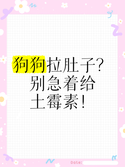 狗狗可以吃土霉素吗_土霉素治狗狗呕吐吗-第2张图片-后鲨宠物 狗狗可以吃土霉素吗_土霉素治狗狗呕吐吗-第2张图片-后鲨宠物