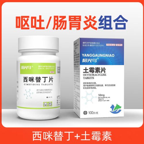 狗狗可以吃土霉素吗_土霉素治狗狗呕吐吗-第5张图片-后鲨宠物 狗狗可以吃土霉素吗_土霉素治狗狗呕吐吗-第5张图片-后鲨宠物