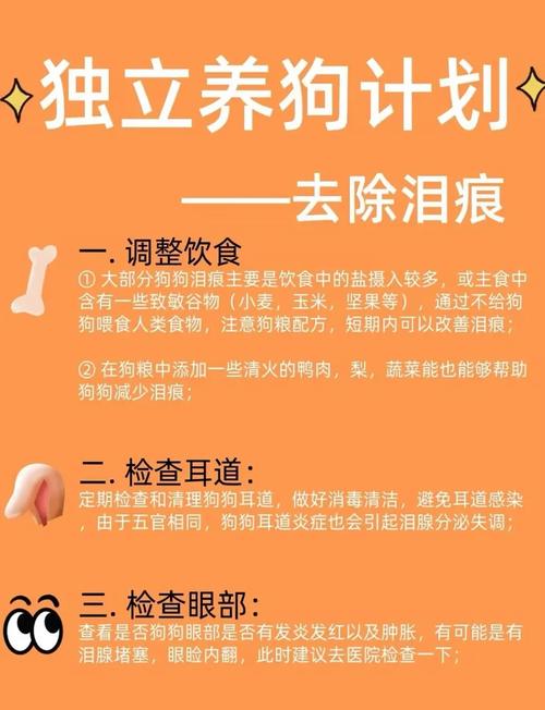 狗狗起眼屎怎么回事_狗狗起很多眼屎-第1张图片-后鲨宠物 狗狗起眼屎怎么回事_狗狗起很多眼屎-第1张图片-后鲨宠物