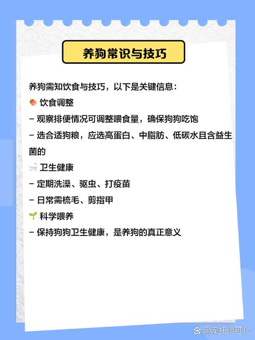 喂养狗狗的正确方法,如何喂养狗狗最科学?-第2张图片-后鲨宠物 喂养狗狗的正确方法,如何喂养狗狗最科学?-第2张图片-后鲨宠物