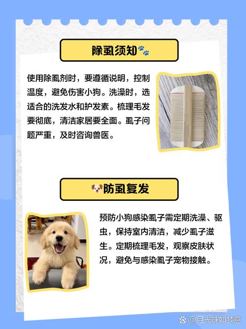 狗狗身上有虱子用什么药,狗狗身上虱子怎么去除-第1张图片-后鲨宠物 狗狗身上有虱子用什么药,狗狗身上虱子怎么去除-第1张图片-后鲨宠物