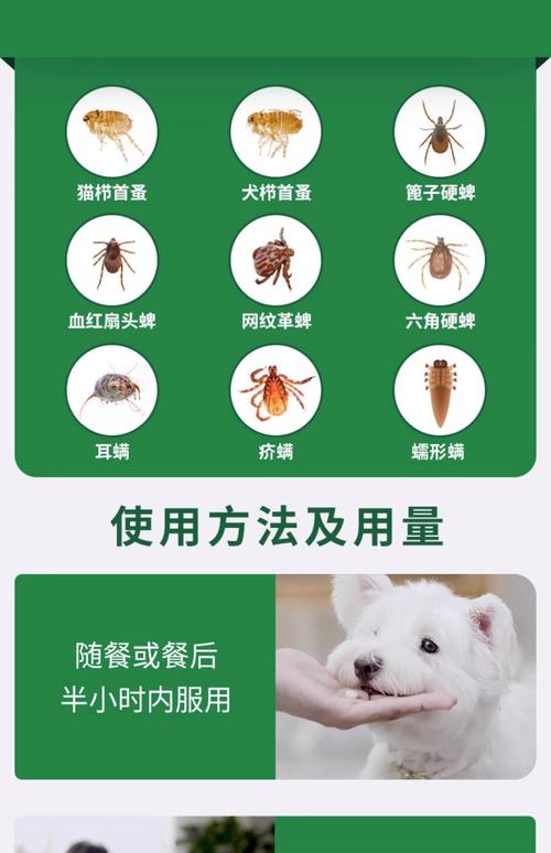 狗狗身上有虱子用什么药,狗狗身上虱子怎么去除-第2张图片-后鲨宠物 狗狗身上有虱子用什么药,狗狗身上虱子怎么去除-第2张图片-后鲨宠物