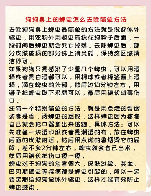 狗狗身上有虱子用什么药,狗狗身上虱子怎么去除-第3张图片-后鲨宠物 狗狗身上有虱子用什么药,狗狗身上虱子怎么去除-第3张图片-后鲨宠物