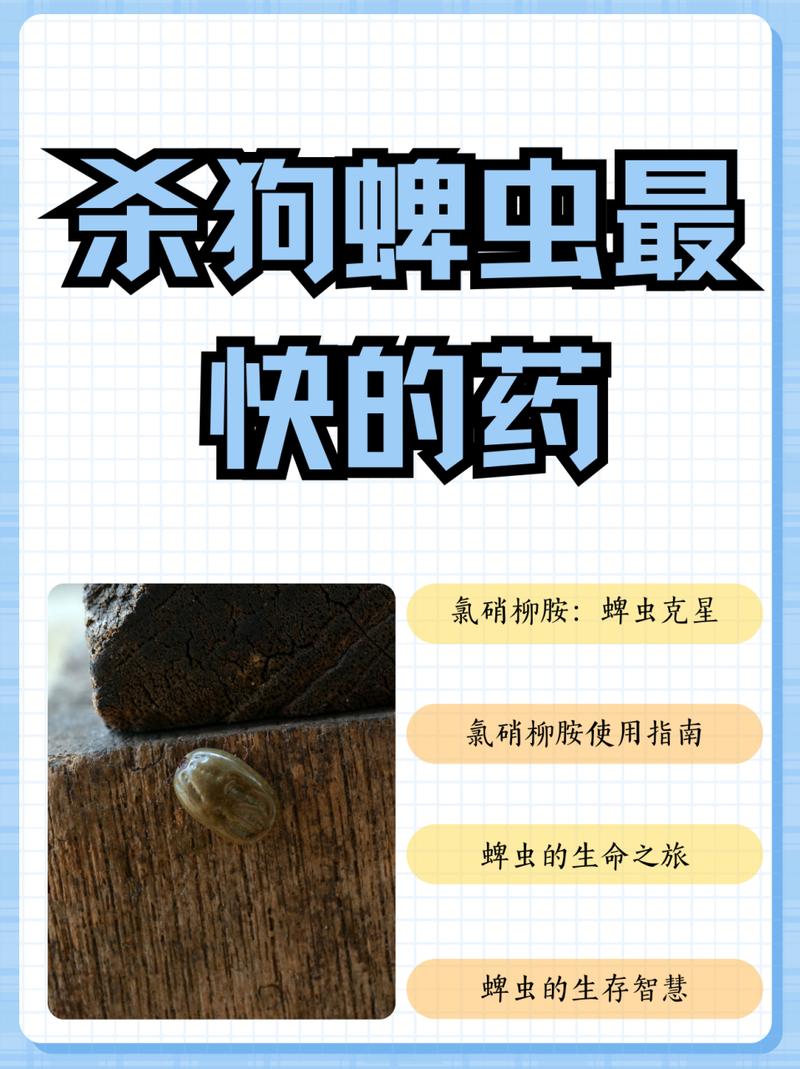 狗狗身上有虱子用什么药,狗狗身上虱子怎么去除-第5张图片-后鲨宠物 狗狗身上有虱子用什么药,狗狗身上虱子怎么去除-第5张图片-后鲨宠物