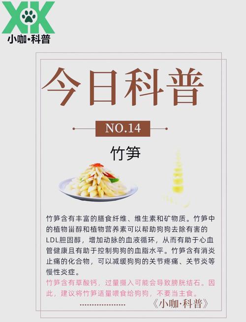 狗狗可以吃竹笋吗_泰迪狗狗可以吃竹笋吗-第4张图片-后鲨宠物 狗狗可以吃竹笋吗_泰迪狗狗可以吃竹笋吗-第4张图片-后鲨宠物