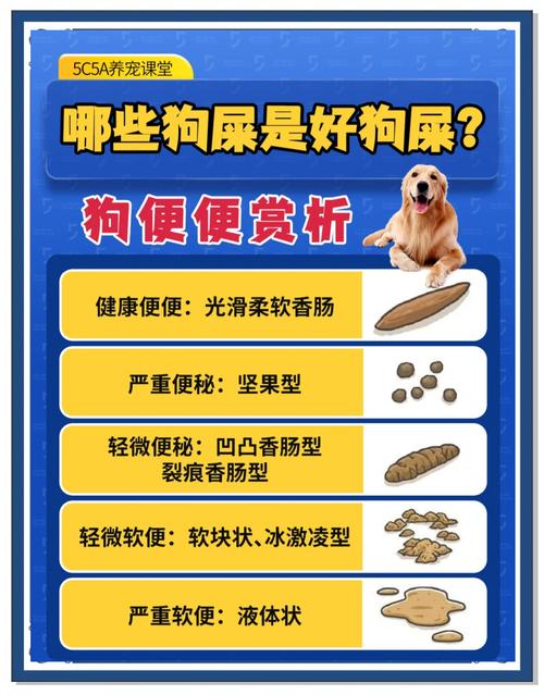 狗狗拉稀一般几天能好,狗狗拉稀几天会好-第2张图片-后鲨宠物 狗狗拉稀一般几天能好,狗狗拉稀几天会好-第2张图片-后鲨宠物