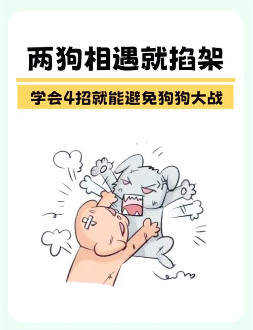 两只狗狗打架怎么办,2只狗打架-第4张图片-后鲨宠物 两只狗狗打架怎么办,2只狗打架-第4张图片-后鲨宠物