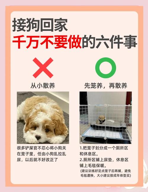 狗狗寄存一天多少钱，寄存狗狗注意事项？