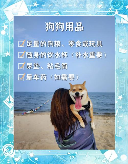 狗狗寄存一天多少钱，寄存狗狗注意事项？-第5张图片-后鲨宠物