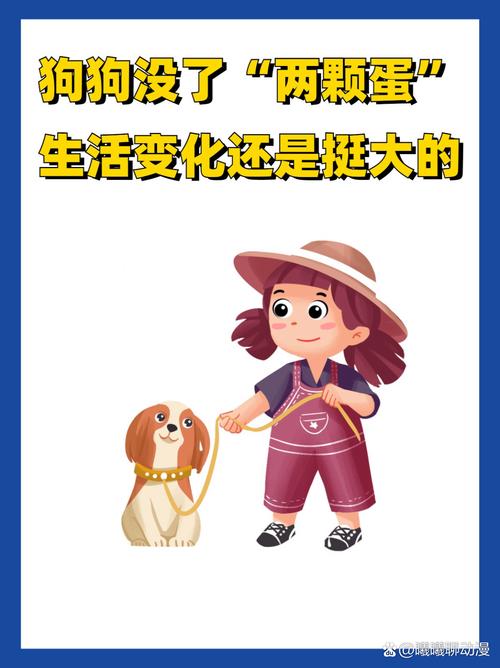 狗狗绝育最佳季节,狗绝育什么时候合适-第1张图片-后鲨宠物 狗狗绝育最佳季节,狗绝育什么时候合适-第1张图片-后鲨宠物