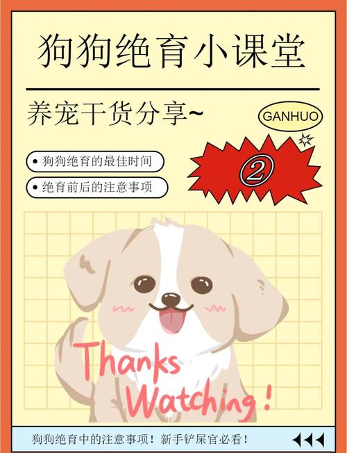 狗狗绝育最佳季节,狗绝育什么时候合适-第4张图片-后鲨宠物 狗狗绝育最佳季节,狗绝育什么时候合适-第4张图片-后鲨宠物