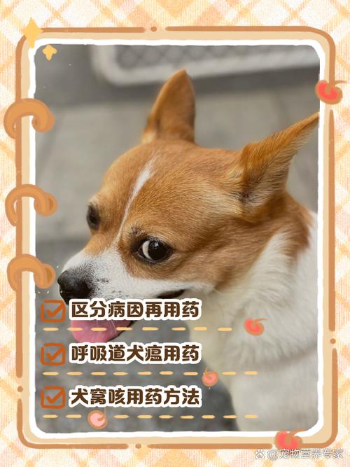 狗狗流鼻涕打喷嚏吃什么药,狗子淌鼻涕打喷嚏-第4张图片-后鲨宠物 狗狗流鼻涕打喷嚏吃什么药,狗子淌鼻涕打喷嚏-第4张图片-后鲨宠物