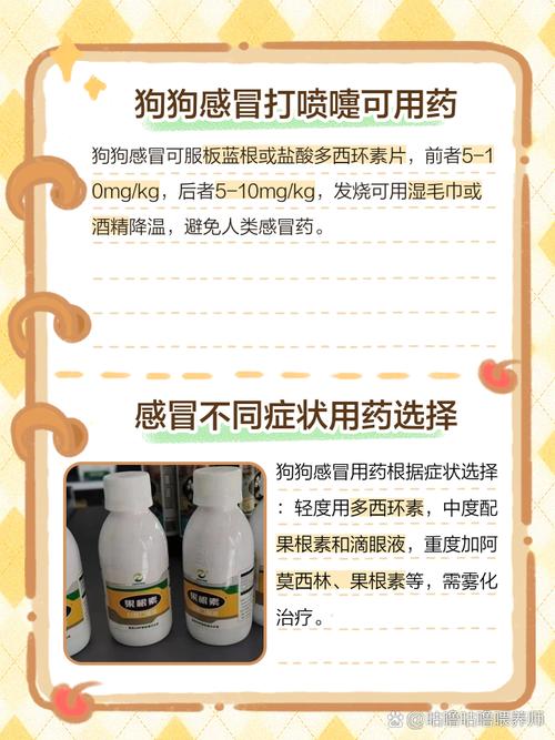 狗狗流鼻涕打喷嚏吃什么药,狗子淌鼻涕打喷嚏-第5张图片-后鲨宠物 狗狗流鼻涕打喷嚏吃什么药,狗子淌鼻涕打喷嚏-第5张图片-后鲨宠物