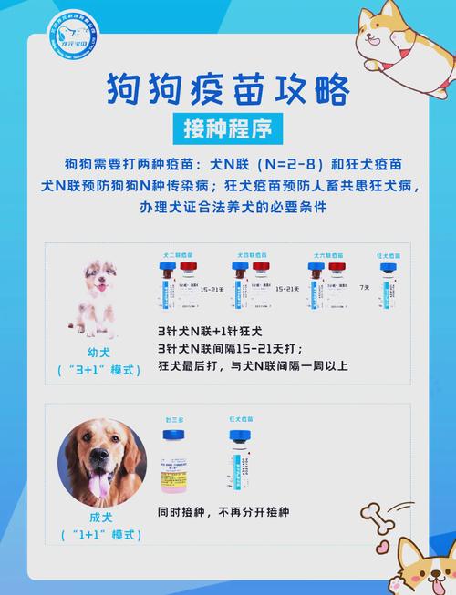  狗狗的狂犬疫苗什么时候打，狗狗狂犬疫苗什么时候打一次-第4张图片-后鲨宠物