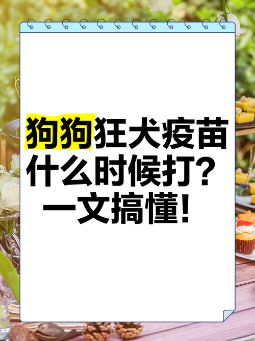  狗狗的狂犬疫苗什么时候打，狗狗狂犬疫苗什么时候打一次-第6张图片-后鲨宠物