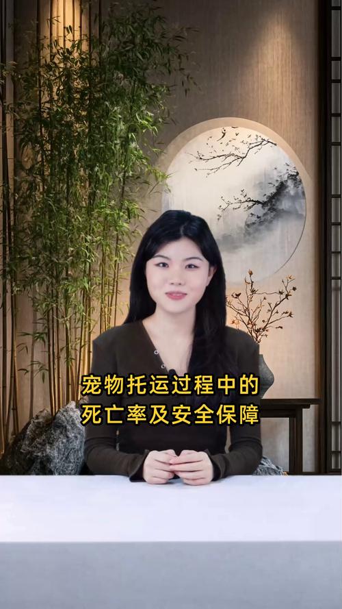 狗狗飞机托运安全吗,狗狗飞机托运安全吗多少钱?-第5张图片-后鲨宠物 狗狗飞机托运安全吗,狗狗飞机托运安全吗多少钱?-第5张图片-后鲨宠物