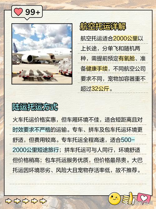 狗狗飞机托运安全吗,狗狗飞机托运安全吗多少钱?-第6张图片-后鲨宠物 狗狗飞机托运安全吗,狗狗飞机托运安全吗多少钱?-第6张图片-后鲨宠物