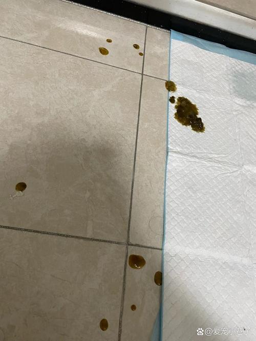 狗狗吃驱虫药拉稀几天_狗狗吃驱虫药后拉稀正常吗-第3张图片-后鲨宠物 狗狗吃驱虫药拉稀几天_狗狗吃驱虫药后拉稀正常吗-第3张图片-后鲨宠物