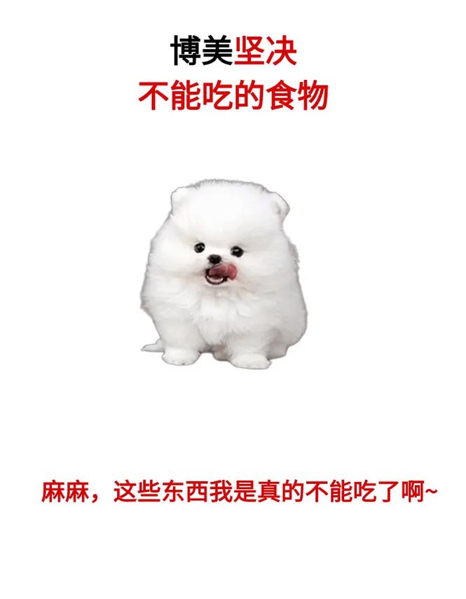 狗狗能吃绿豆雪糕吗,狗能吃绿豆冰激凌吗?-第4张图片-后鲨宠物 狗狗能吃绿豆雪糕吗,狗能吃绿豆冰激凌吗?-第4张图片-后鲨宠物