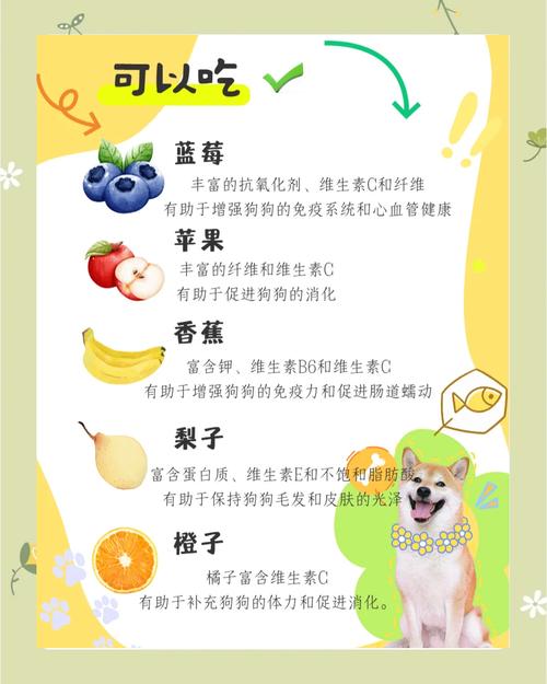 狗狗能吃橘子嘛,狗狗能吃橘子么?-第2张图片-后鲨宠物 狗狗能吃橘子嘛,狗狗能吃橘子么?-第2张图片-后鲨宠物