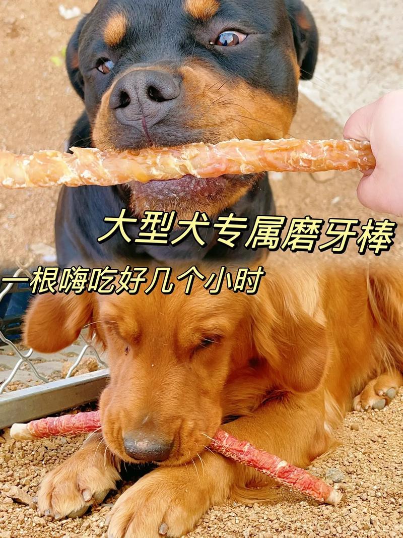  狗狗多大可以吃磨牙棒，狗狗多大吃磨牙棒啊-第4张图片-后鲨宠物
