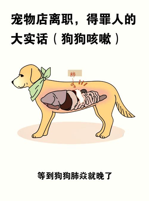 小狗狗感冒有什么症状,小狗狗感冒有什么症状吗-第1张图片-后鲨宠物 小狗狗感冒有什么症状,小狗狗感冒有什么症状吗-第1张图片-后鲨宠物