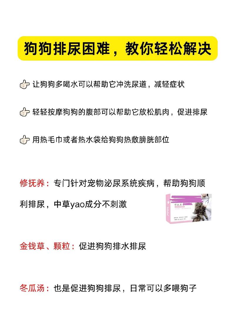  狗狗排尿困难吃什么药，狗突然排尿困难吃什么药-第3张图片-后鲨宠物