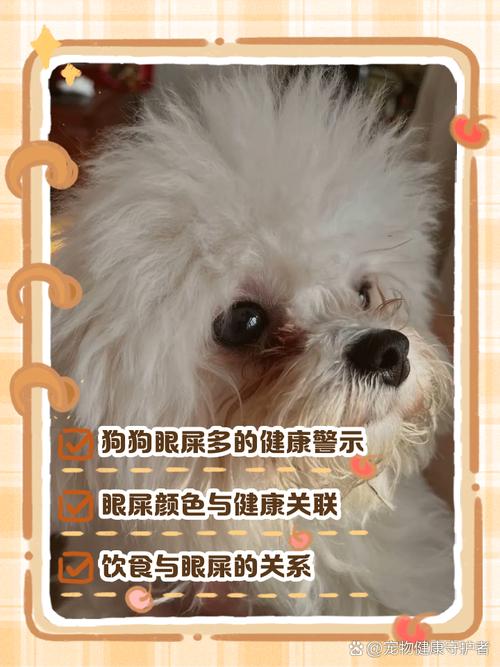 狗狗能喝金银花露吗,狗喝金银花露可以去泪痕吗-第3张图片-后鲨宠物 狗狗能喝金银花露吗,狗喝金银花露可以去泪痕吗-第3张图片-后鲨宠物