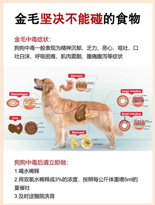 狗狗能喝金银花露吗,狗喝金银花露可以去泪痕吗-第4张图片-后鲨宠物 狗狗能喝金银花露吗,狗喝金银花露可以去泪痕吗-第4张图片-后鲨宠物