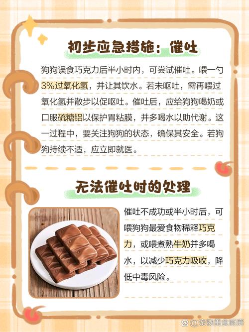 狗狗吃了一点巧克力怎么办，狗狗吃了一点巧克力的症状？