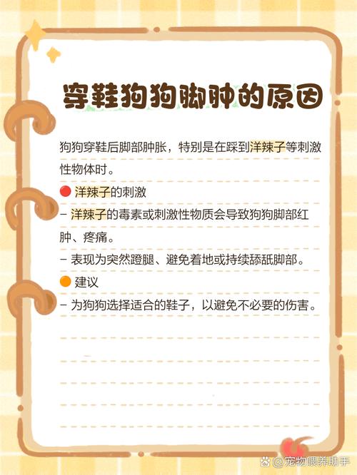 狗狗脚肿了怎么回事,狗狗脚肿了怎么回事图片-第3张图片-后鲨宠物 狗狗脚肿了怎么回事,狗狗脚肿了怎么回事图片-第3张图片-后鲨宠物