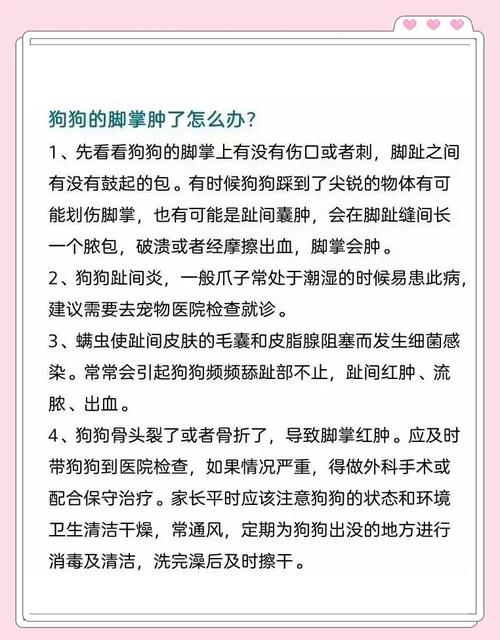 狗狗脚肿了怎么回事,狗狗脚肿了怎么回事图片-第6张图片-后鲨宠物 狗狗脚肿了怎么回事,狗狗脚肿了怎么回事图片-第6张图片-后鲨宠物