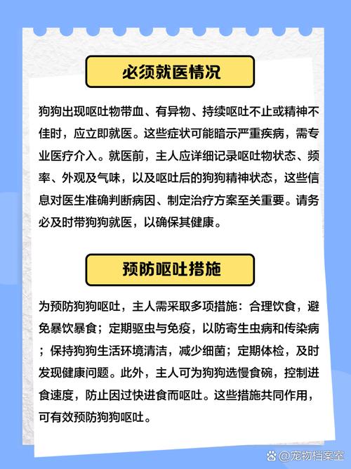 狗狗吃多了吐了怎么办,狗狗吃多了吐了怎么办精神不好-第1张图片-后鲨宠物 狗狗吃多了吐了怎么办,狗狗吃多了吐了怎么办精神不好-第1张图片-后鲨宠物