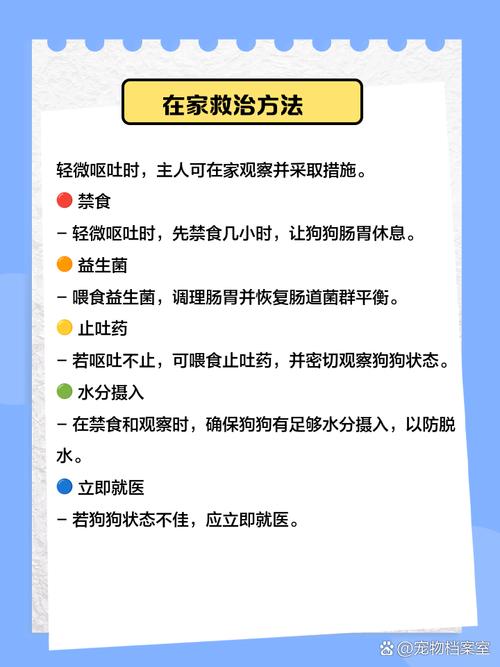 狗狗吃多了吐了怎么办,狗狗吃多了吐了怎么办精神不好-第4张图片-后鲨宠物 狗狗吃多了吐了怎么办,狗狗吃多了吐了怎么办精神不好-第4张图片-后鲨宠物