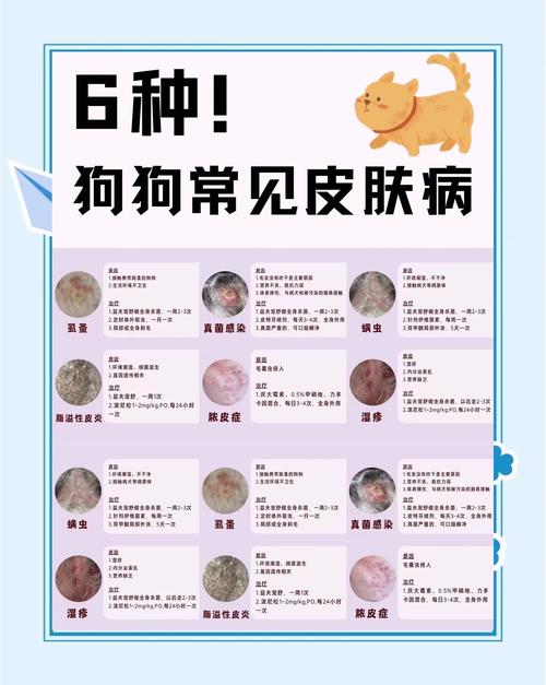 狗狗皮肤病怎么办,狗狗皮肤病怎么办最有效的方法-第6张图片-后鲨宠物 狗狗皮肤病怎么办,狗狗皮肤病怎么办最有效的方法-第6张图片-后鲨宠物