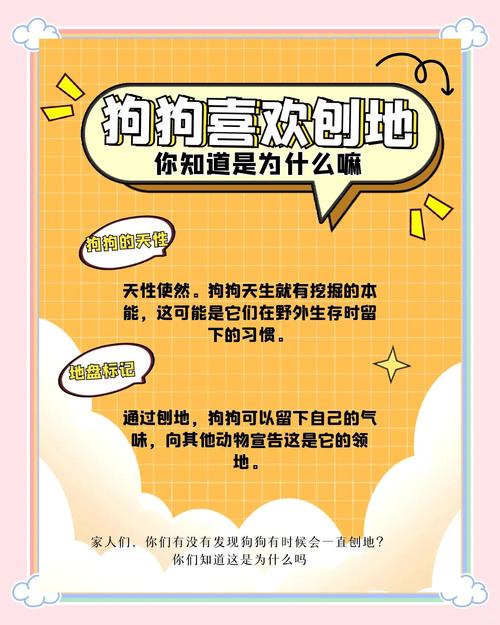 狗狗刨地板有什么征兆_狗狗刨地有什么不好的意义-第1张图片-后鲨宠物 狗狗刨地板有什么征兆_狗狗刨地有什么不好的意义-第1张图片-后鲨宠物