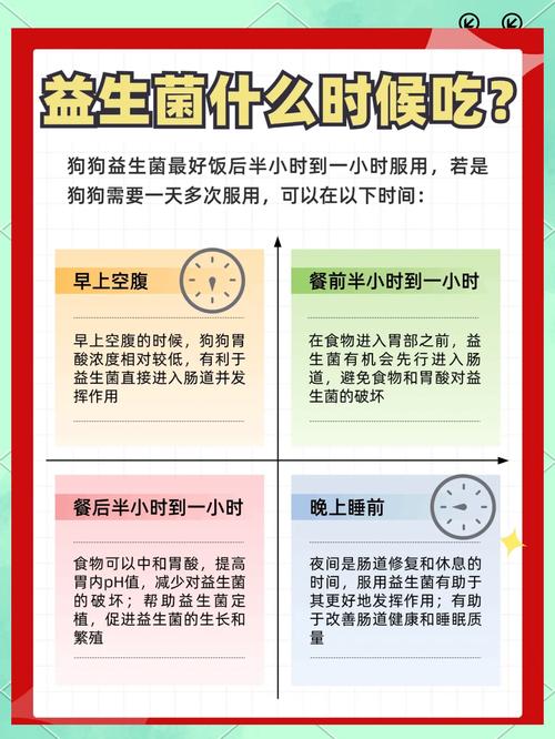 狗狗吃益生菌的好处_狗狗常吃益生菌有副作用吗-第1张图片-后鲨宠物 狗狗吃益生菌的好处_狗狗常吃益生菌有副作用吗-第1张图片-后鲨宠物