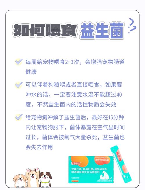 狗狗吃益生菌的好处_狗狗常吃益生菌有副作用吗-第2张图片-后鲨宠物 狗狗吃益生菌的好处_狗狗常吃益生菌有副作用吗-第2张图片-后鲨宠物