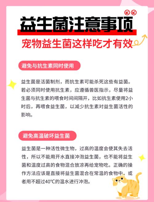 狗狗吃益生菌的好处_狗狗常吃益生菌有副作用吗-第6张图片-后鲨宠物 狗狗吃益生菌的好处_狗狗常吃益生菌有副作用吗-第6张图片-后鲨宠物