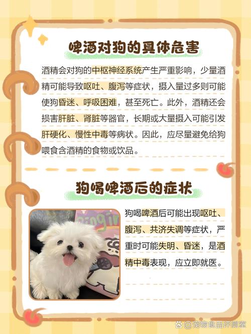 给狗狗喝酒会怎么样,狗狗喝酒会怎么样好不好?-第1张图片-后鲨宠物 给狗狗喝酒会怎么样,狗狗喝酒会怎么样好不好?-第1张图片-后鲨宠物