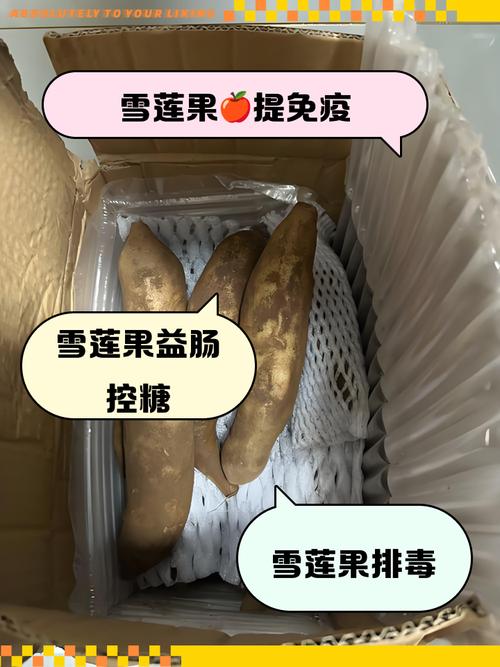 狗狗能吃雪莲果吗,狗狗能吃雪莲果吗有毒吗-第3张图片-后鲨宠物 狗狗能吃雪莲果吗,狗狗能吃雪莲果吗有毒吗-第3张图片-后鲨宠物